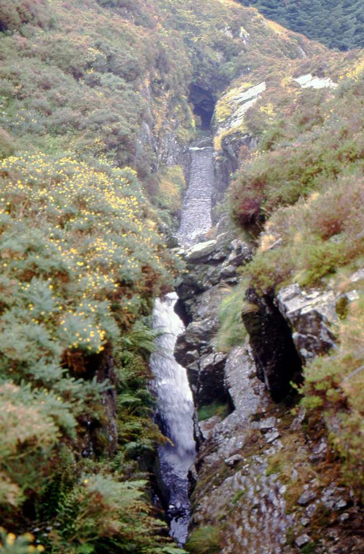 Nantyreira opencut Cardigan 1991